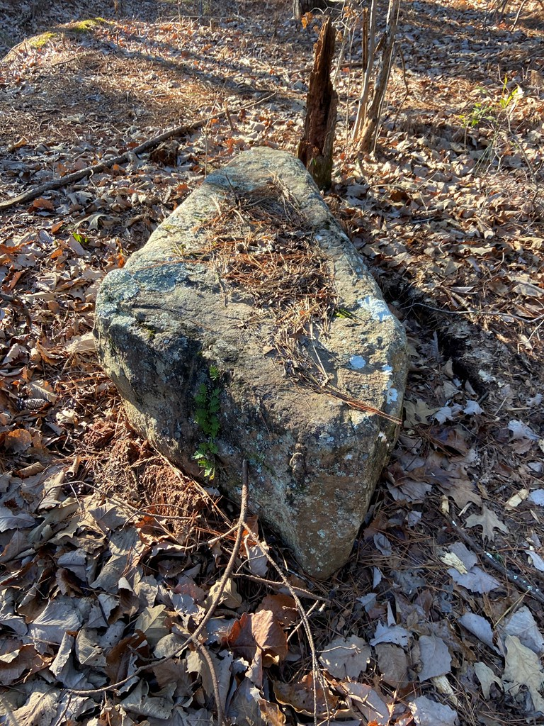 0 Kings Gap Road Pine Mountain, GA 31822 - Photo 15 of 19 Gallery Image 15