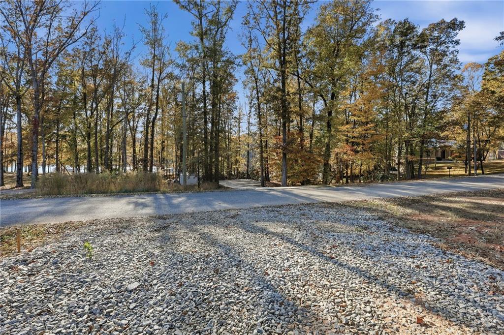 3613 Schofield Road Gainesville, GA 30506 - Photo 36 of 42 a view of dirt yard with a large tree
