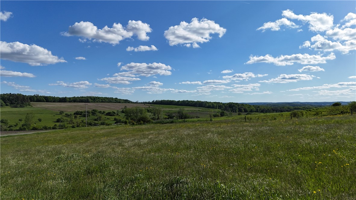 Edmunds Road Freedom, NY 14065 - Photo 4 of 15