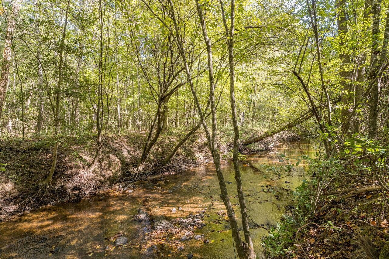 2152 Christian Light Road Fuquay-Varina, NC 27526 - Photo 29 of 30 All four seasons can be enjoyed on this property. Stream
