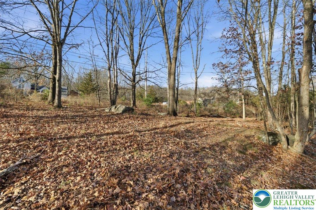 3032 32a Kirkham Road Bushkill, PA 18324 - Photo 13 of 15 a backyard of a house with lots of green space