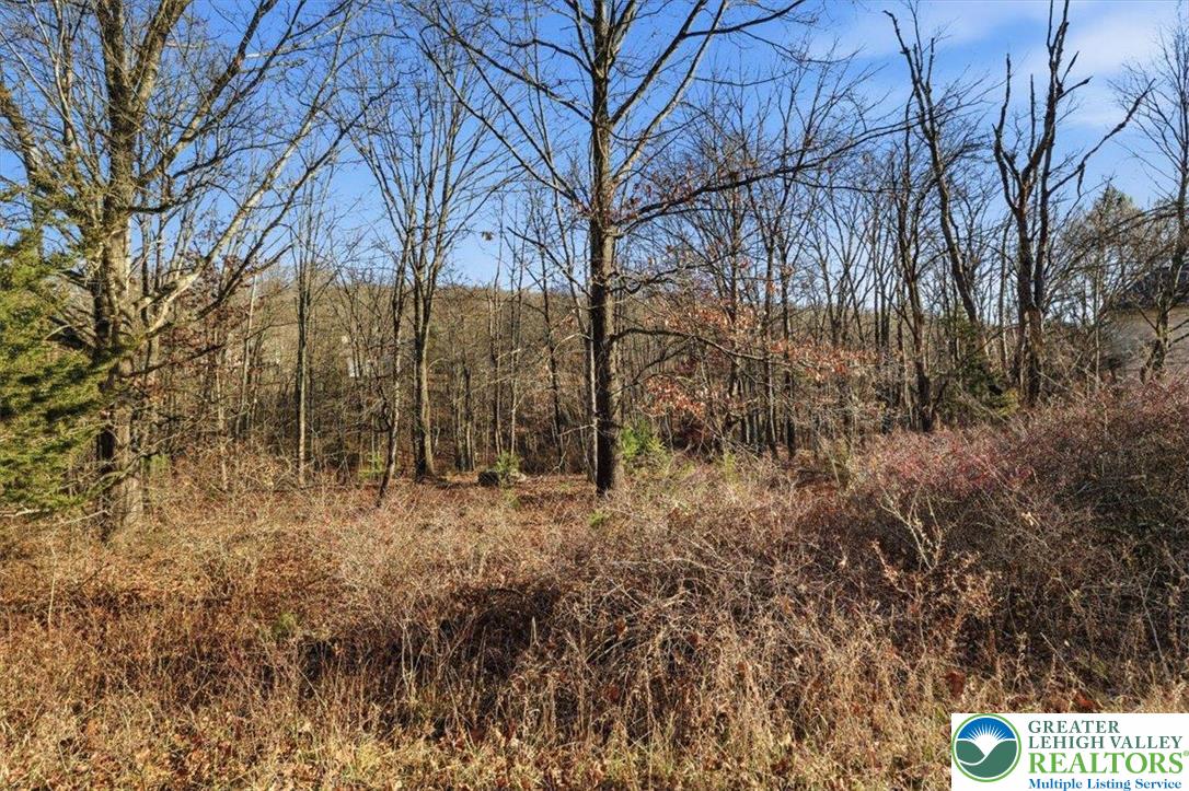 3032 32a Kirkham Road Bushkill, PA 18324 - Photo 4 of 15 a backyard of a house with lots of green space