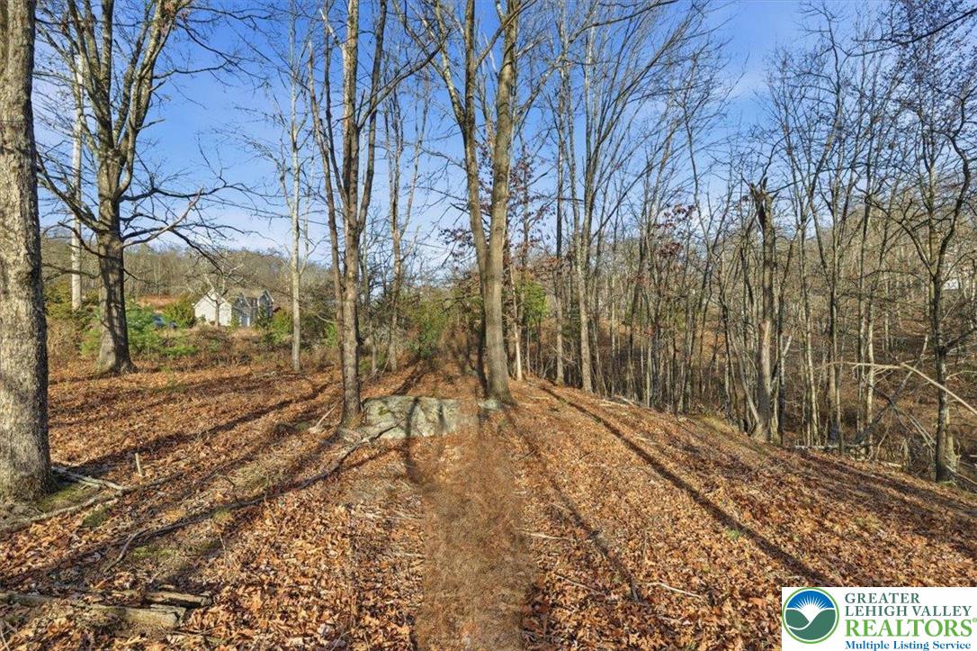 3032 32a Kirkham Road Bushkill, PA 18324 - Photo 6 of 15 a view of a yard with trees