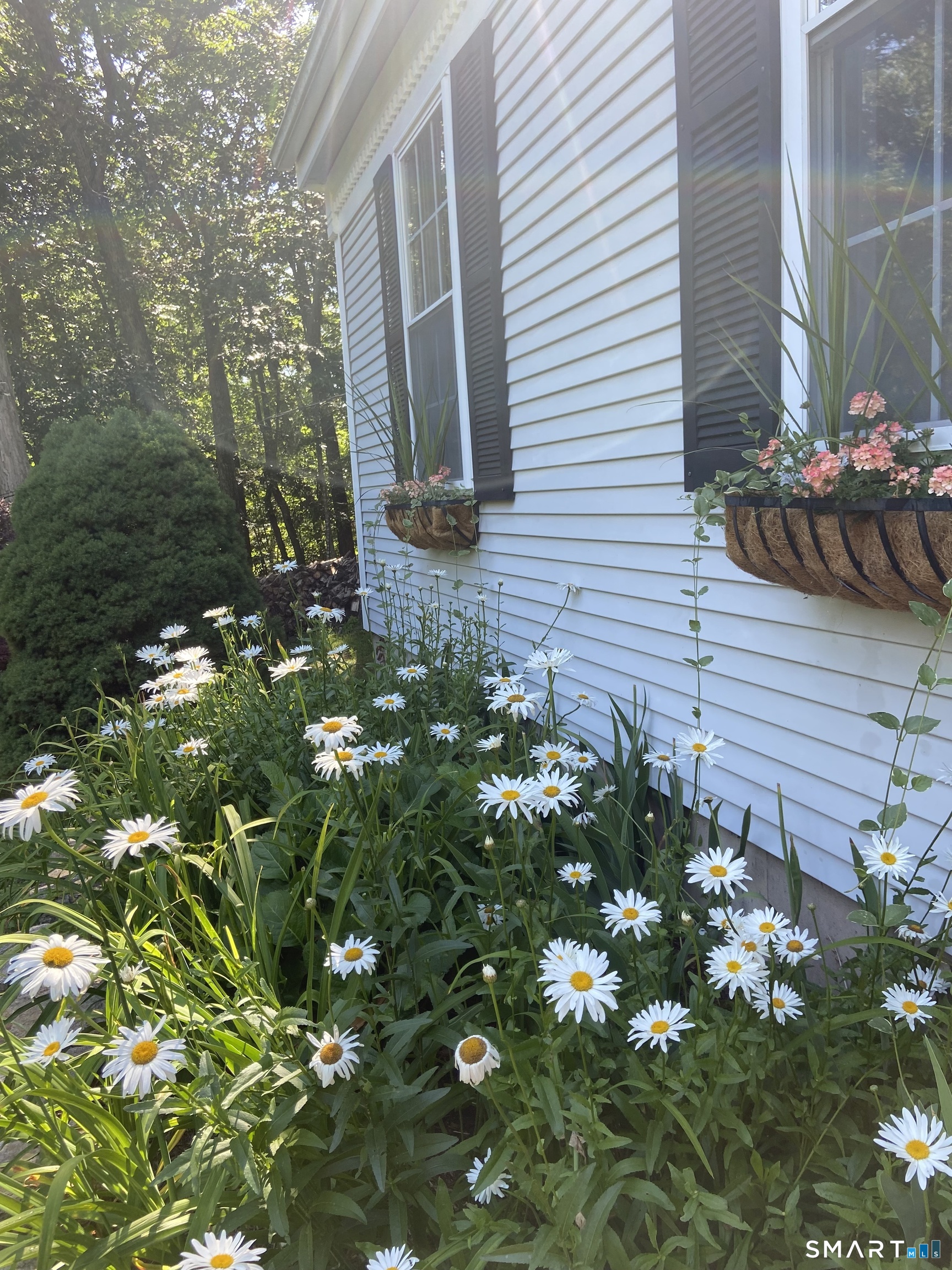 237 Chestnut Hill Road Killingworth, CT 06419 - Photo 39 of 39 a view of a house with a tree