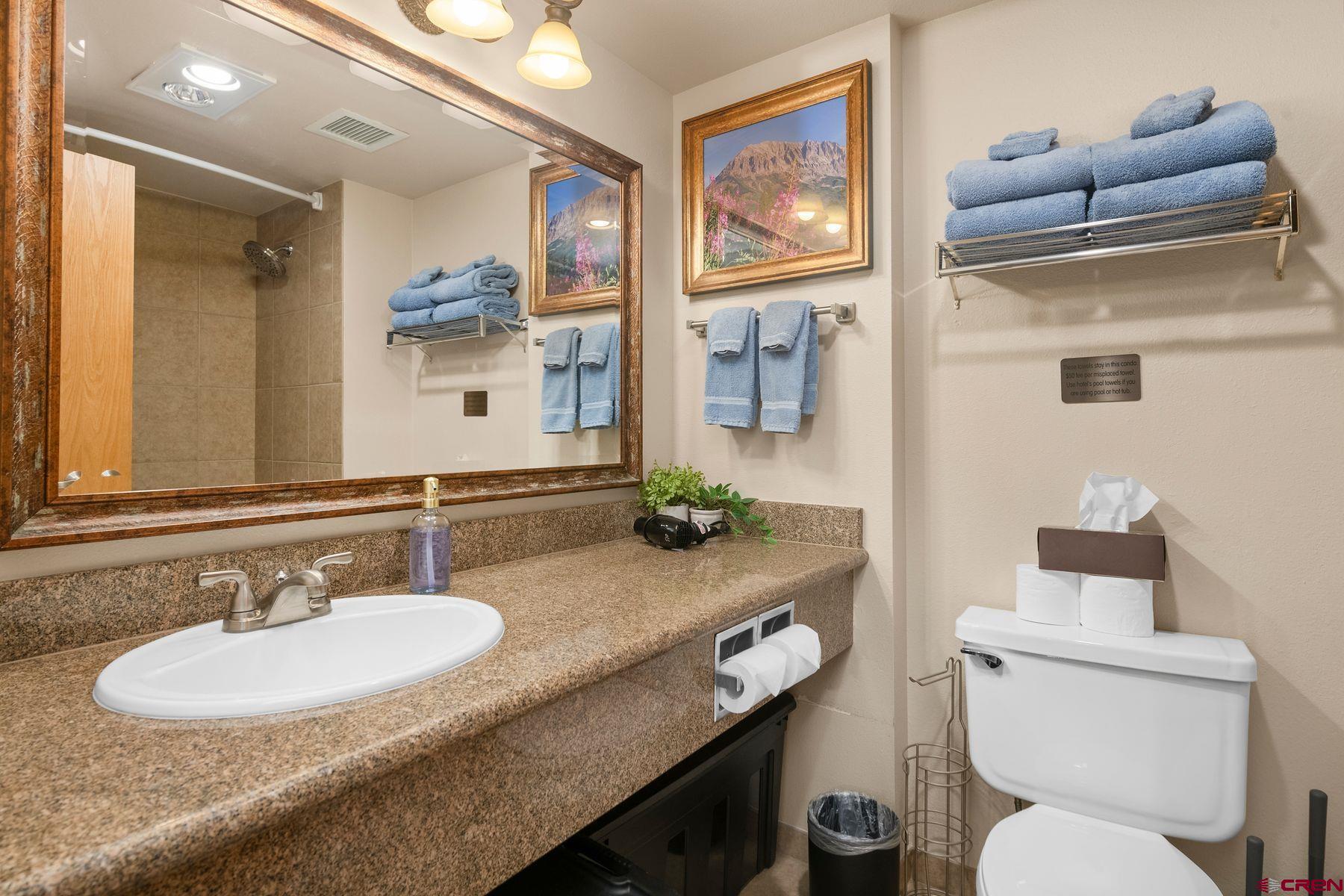 6 Emmons Road, Unit 510 Crested Butte, CO 81225 - Photo 14 of 22