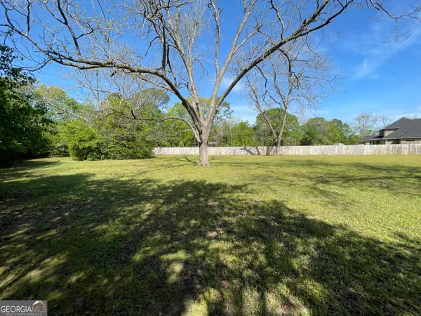 a view of an ocean from a yard