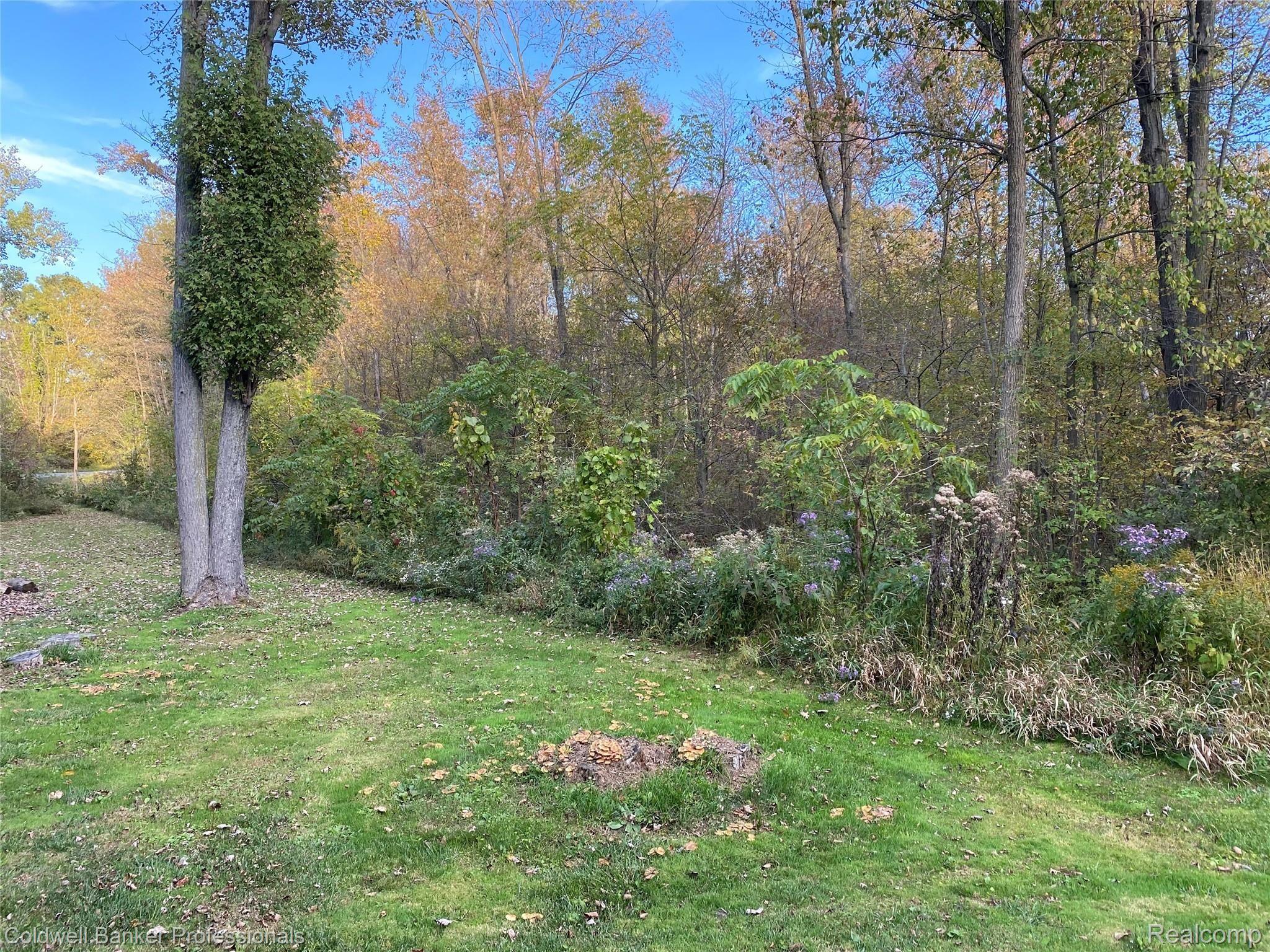 5049 West Oregon Road Lapeer, MI 48446 - Photo 39 of 42 67D295DD-6B75-4F5D-A53A-D82413B7A303.jpeg