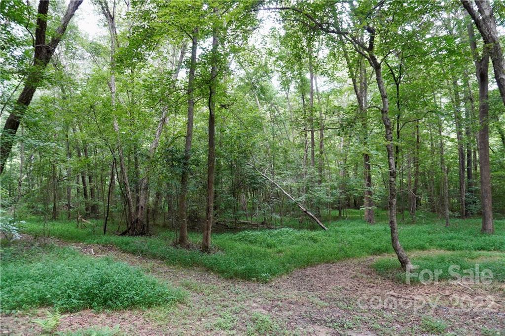 629 Bell Road Kings Mountain, NC 28086 - Photo 3 of 12 Gallery Image 3