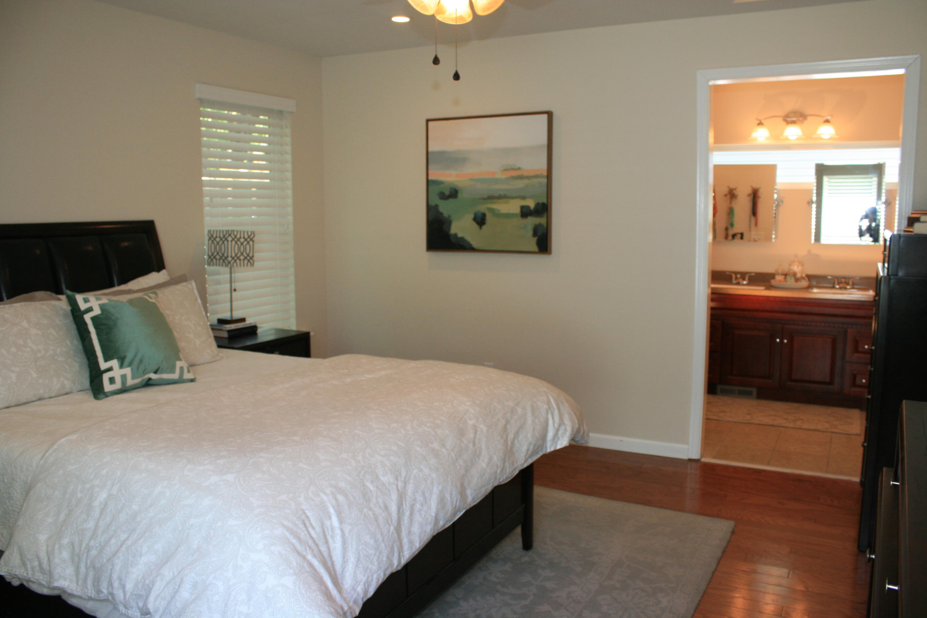 24 Apollo Road Charleston, SC 29407 - Photo 16 of 40 IMG_5847