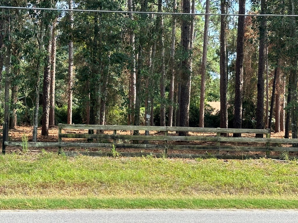 0 State Highway Geneva, AL 36340 - Photo 5 of 8