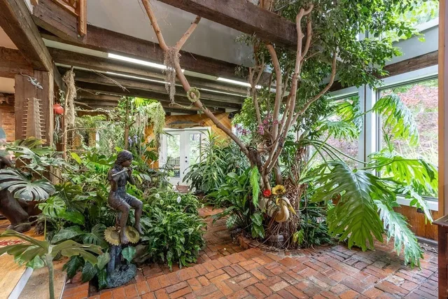 a yellow plant in front of a glass door