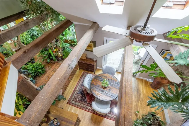 a view of a dining room with furniture a potted plant and wooden floor