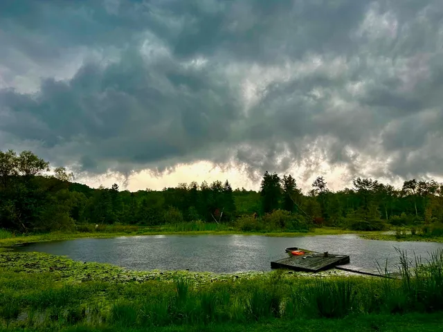 a view of a lake with green space