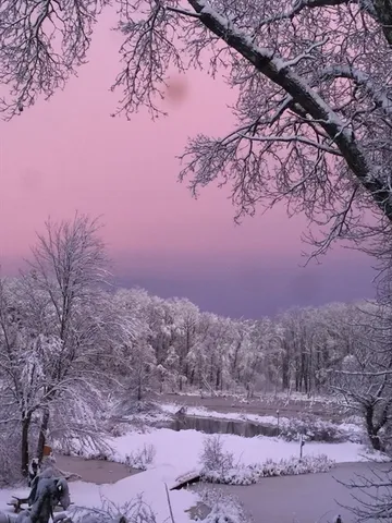 a view of a backyard of a house with a yard and outdoor seating