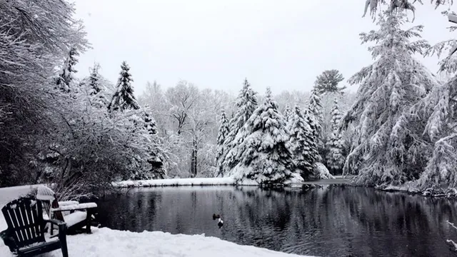 a view of a lake from a yard