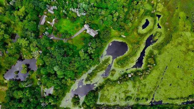 a view of a small yard