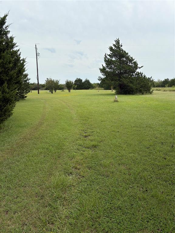 View of grassy yard