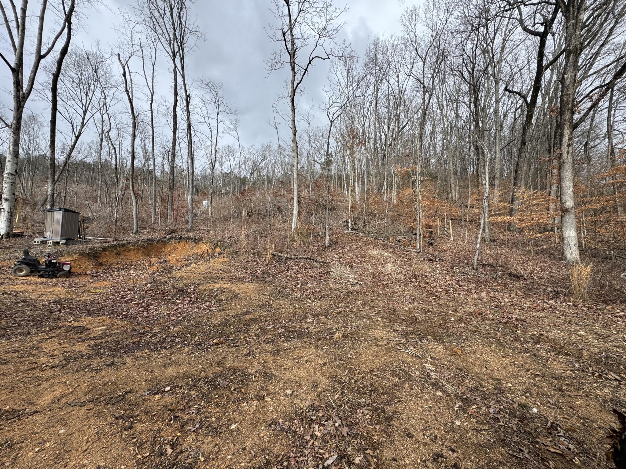0 Red Clay Park Road Southwest Cleveland, TN 37311 - Photo 9 of 15 Gallery Image 9