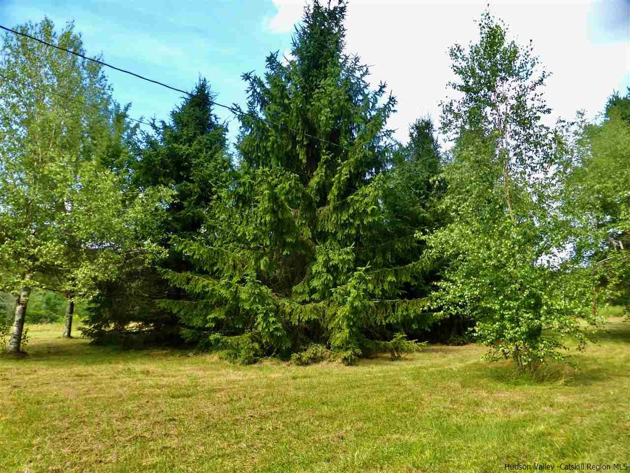 395 Ridge Road Hamden, NY 13782 - Photo 25 of 28 Photo 29