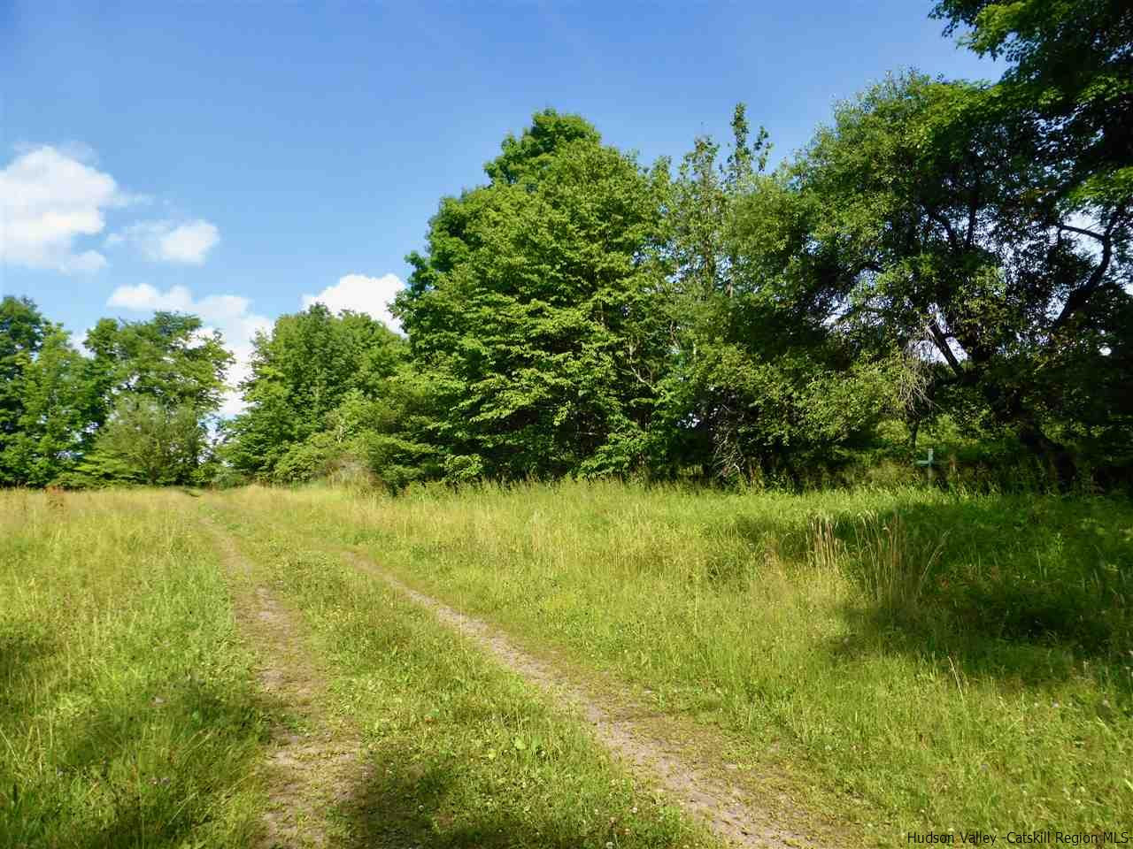 395 Ridge Road Hamden, NY 13782 - Photo 26 of 28 Photo 30