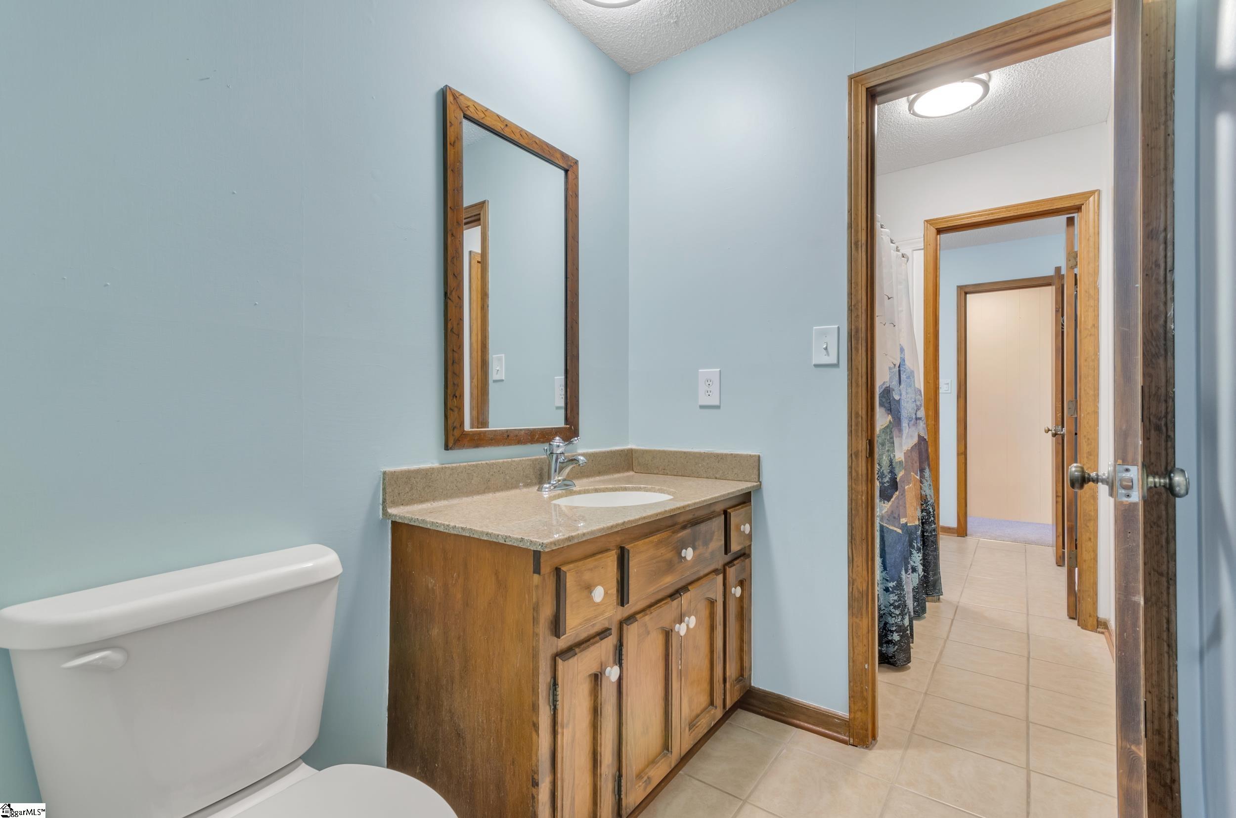 3180 Highway 357 Lyman, SC 29365 - Photo 23 of 50 Toilet, Sink and shared Shower over Tub