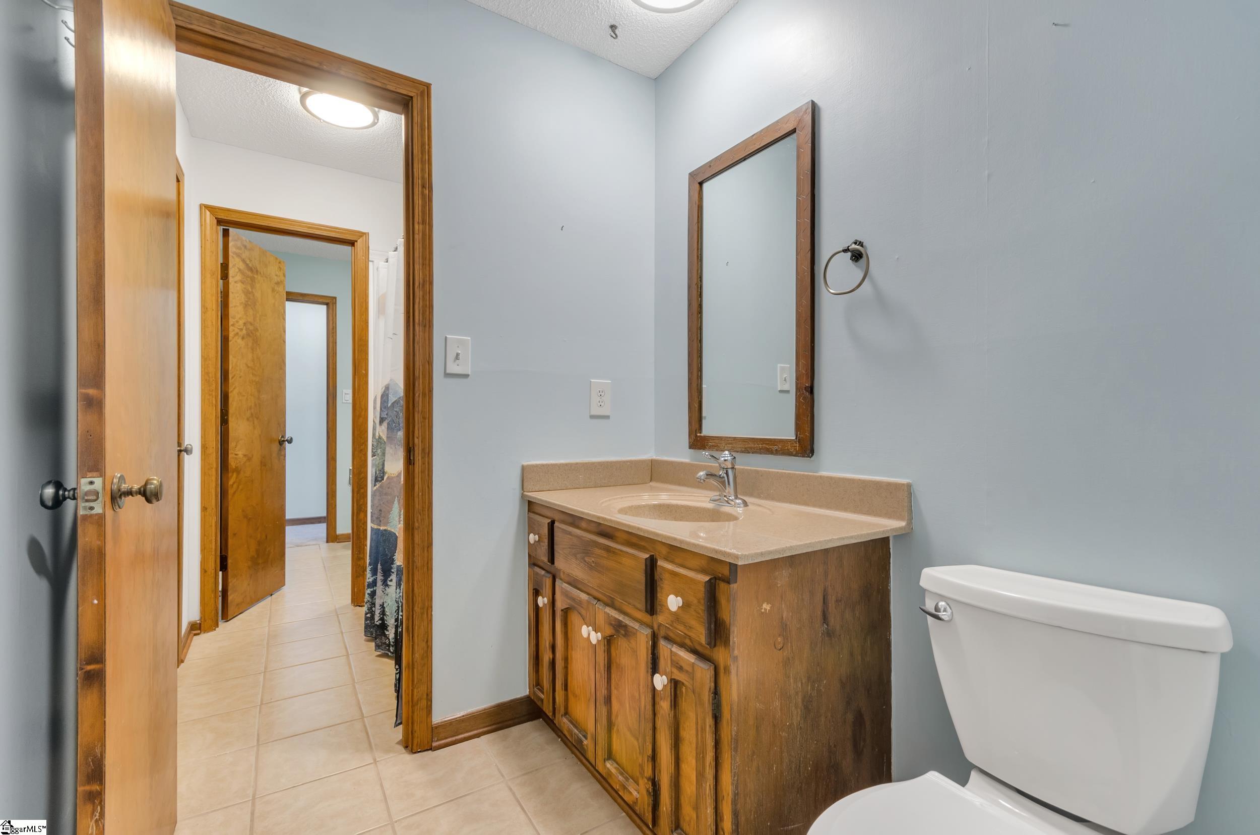 3180 Highway 357 Lyman, SC 29365 - Photo 24 of 50 Toilet, sink and shared Shower over Tub