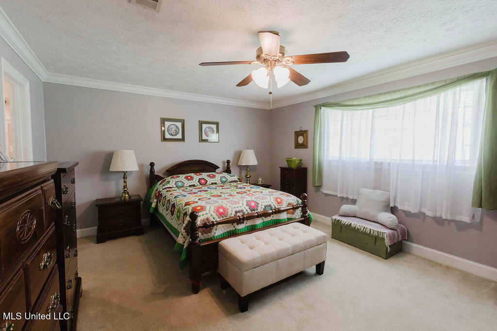 49 Wintergreen Road Madison, MS 39110 - Photo 17 of 32 watsonphotography.bw250625132221