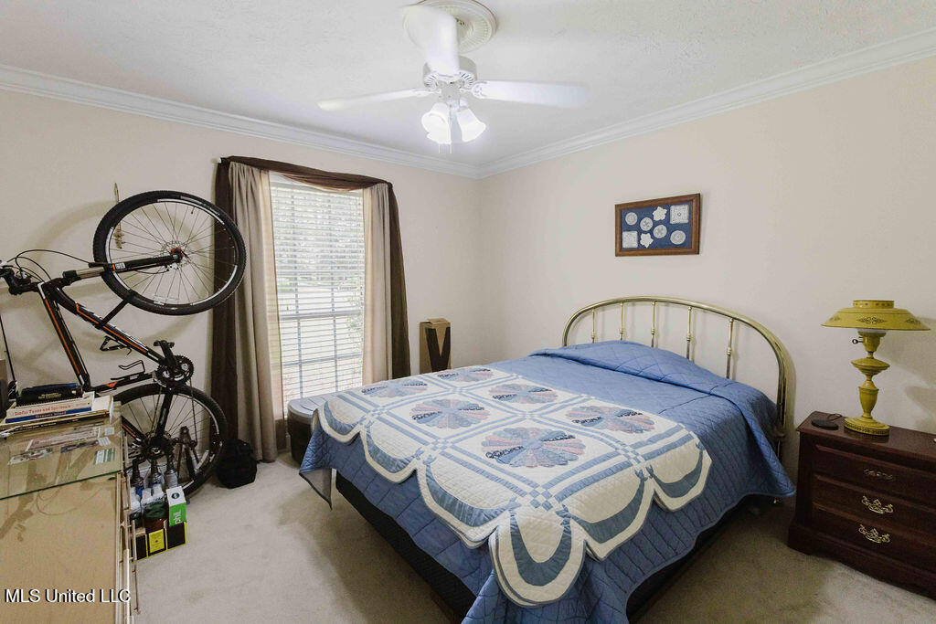 49 Wintergreen Road Madison, MS 39110 - Photo 21 of 32 watsonphotography.bw250625132427