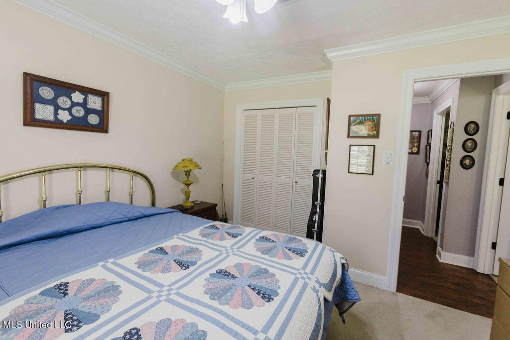 49 Wintergreen Road Madison, MS 39110 - Photo 22 of 32 watsonphotography.bw250625132448