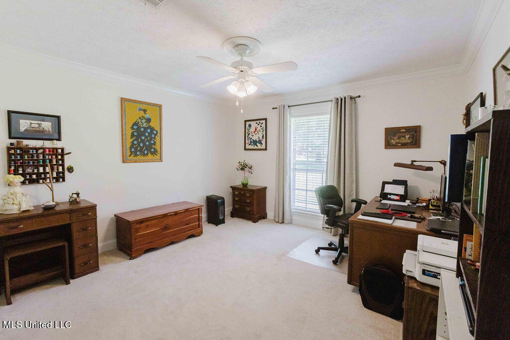 49 Wintergreen Road Madison, MS 39110 - Photo 23 of 32 watsonphotography.bw250625132507