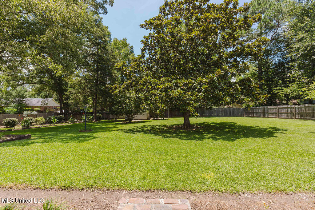 49 Wintergreen Road Madison, MS 39110 - Photo 27 of 32 watsonphotography.bw250625132733