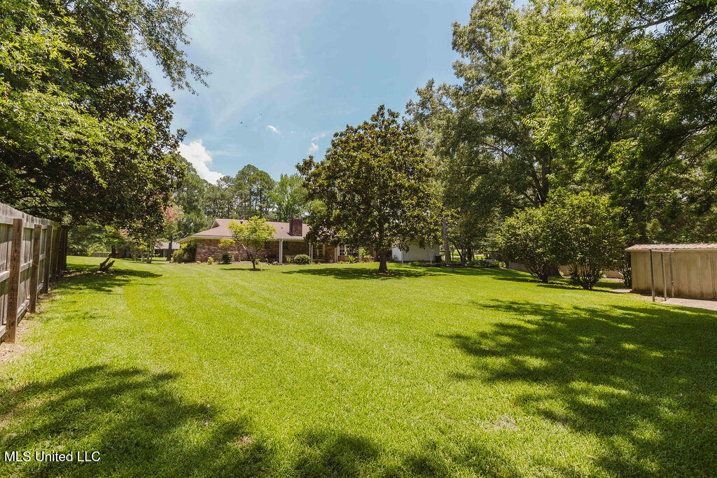 49 Wintergreen Road Madison, MS 39110 - Photo 28 of 32 watsonphotography.bw250625132822