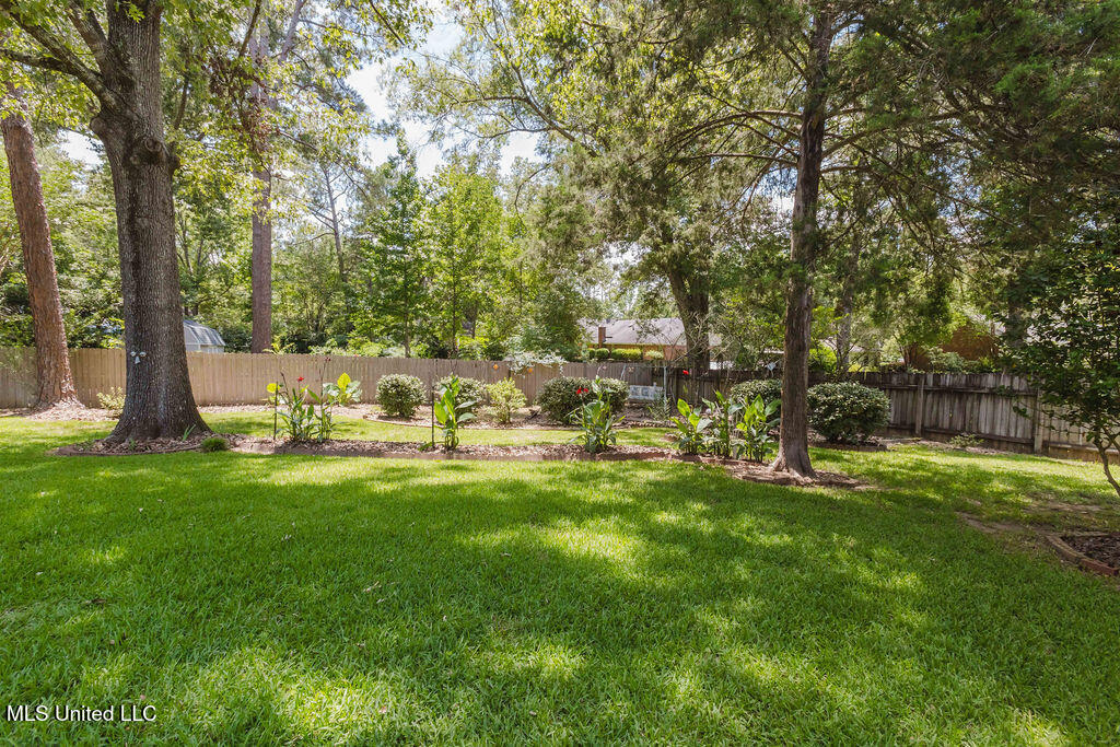 49 Wintergreen Road Madison, MS 39110 - Photo 29 of 32 watsonphotography.bw250625132903