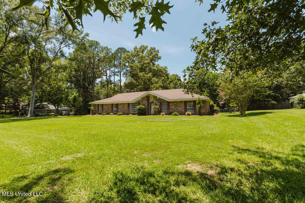 49 Wintergreen Road Madison, MS 39110 - Photo 3 of 32 watsonphotography.bw250625131216
