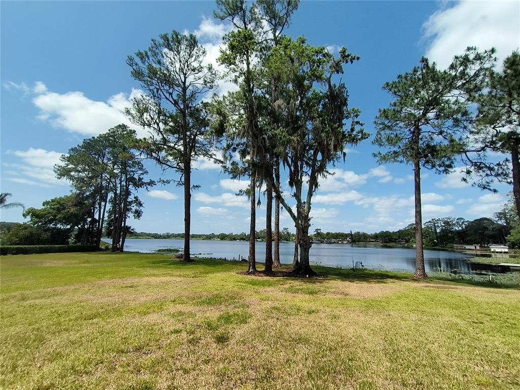 910 North Kepler Road DeLand, FL 32724 - Photo 45 of 52 a view of a swimming pool and trees in the background