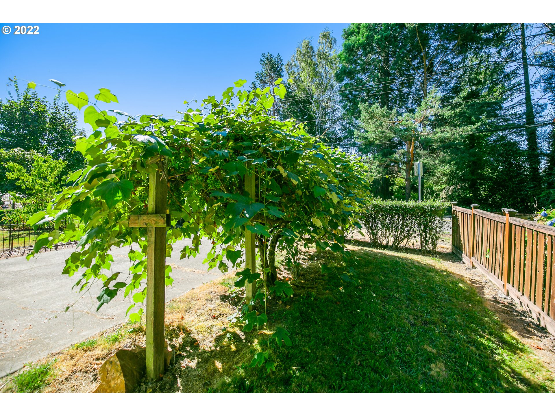 6245 Southwest Garden Home Road Portland, OR 97219 - Photo 18 of 22 Yard