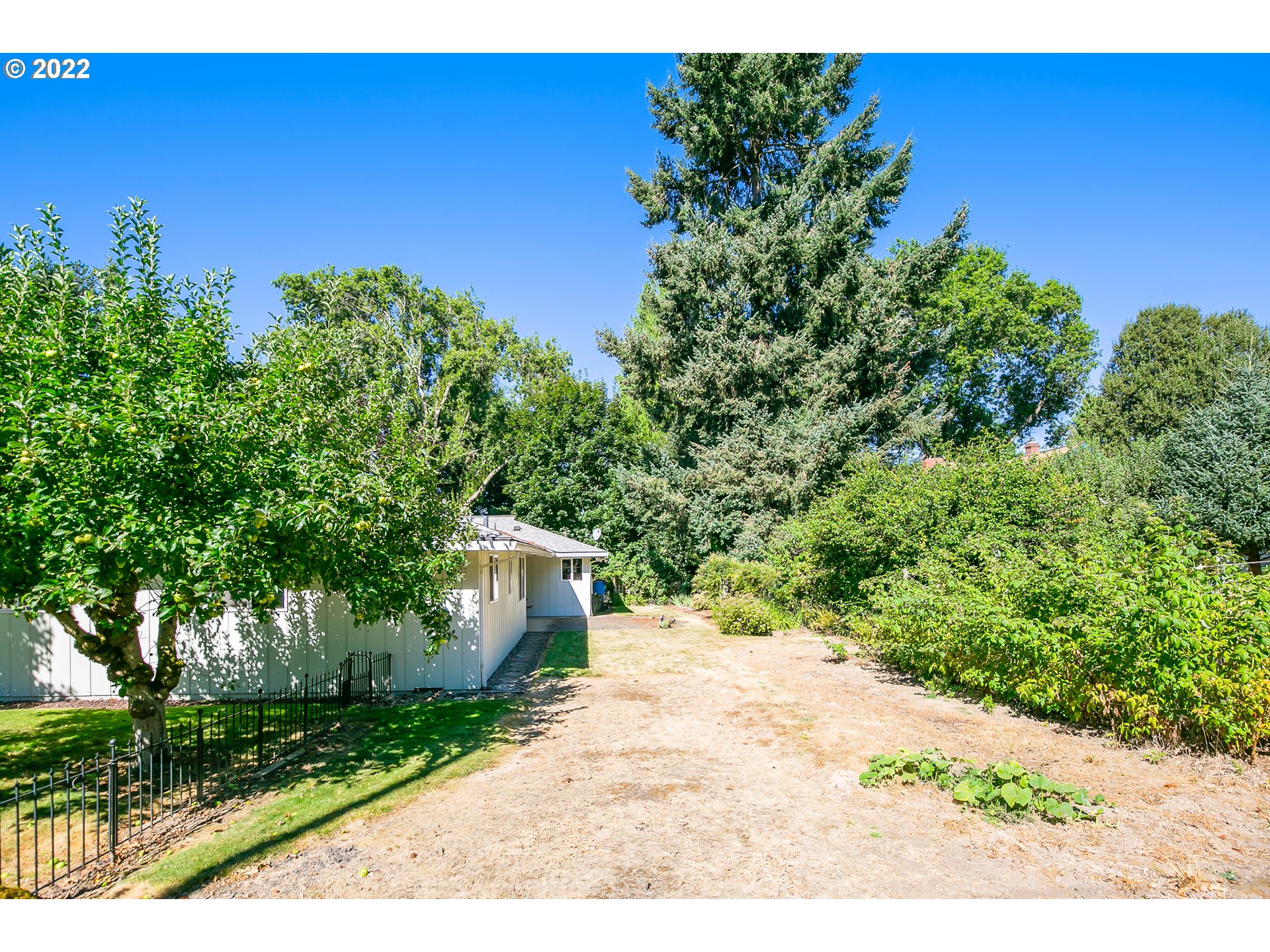 6245 Southwest Garden Home Road Portland, OR 97219 - Photo 19 of 22 Backyard