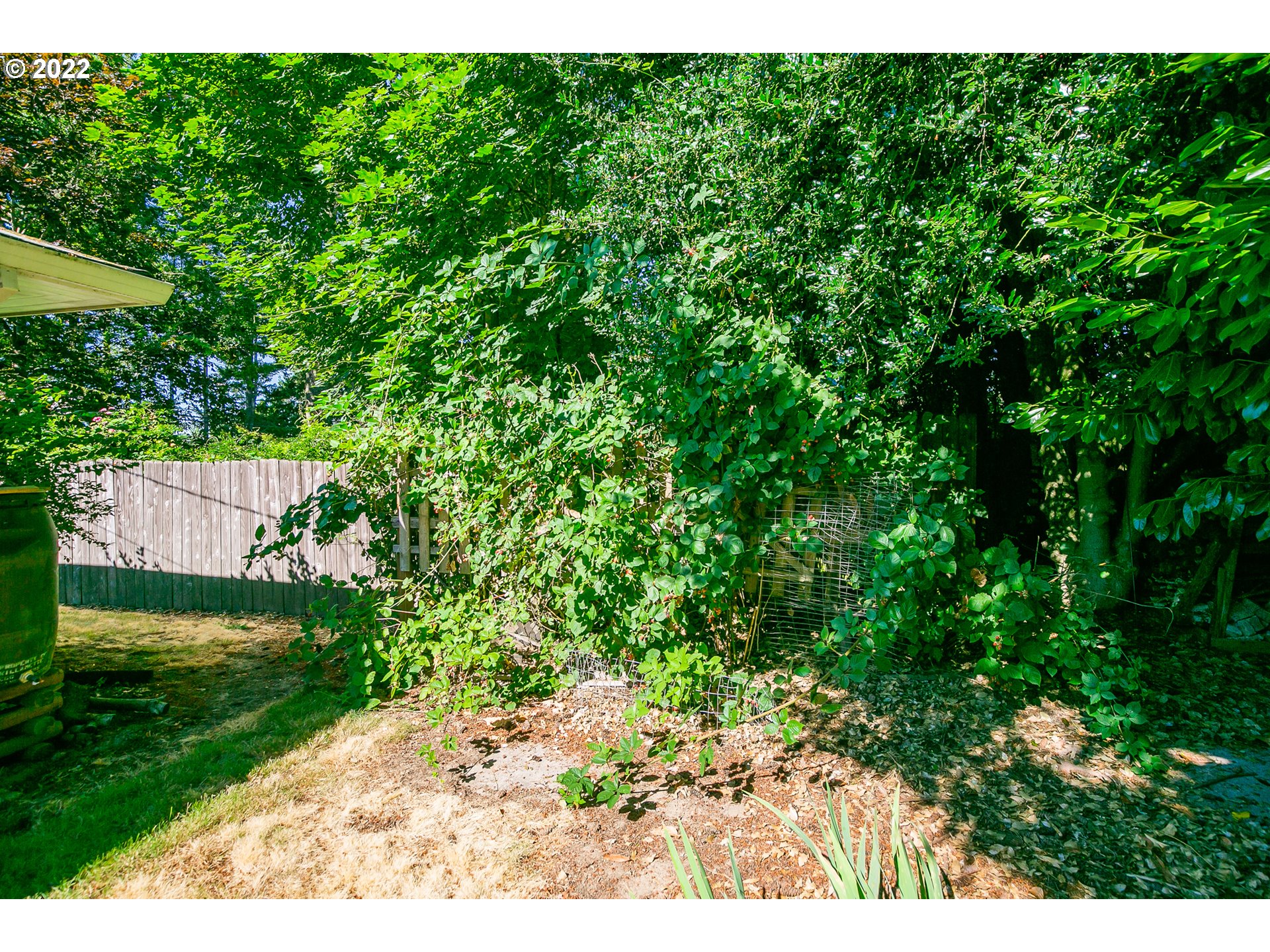 6245 Southwest Garden Home Road Portland, OR 97219 - Photo 20 of 22 Yard