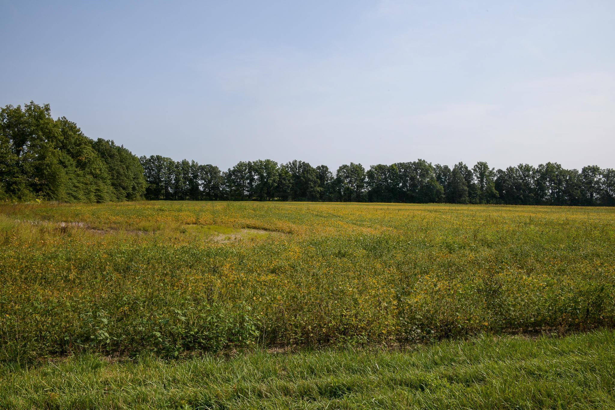 0 Osborne Road Richwood, OH 43344 - Photo 1 of 2