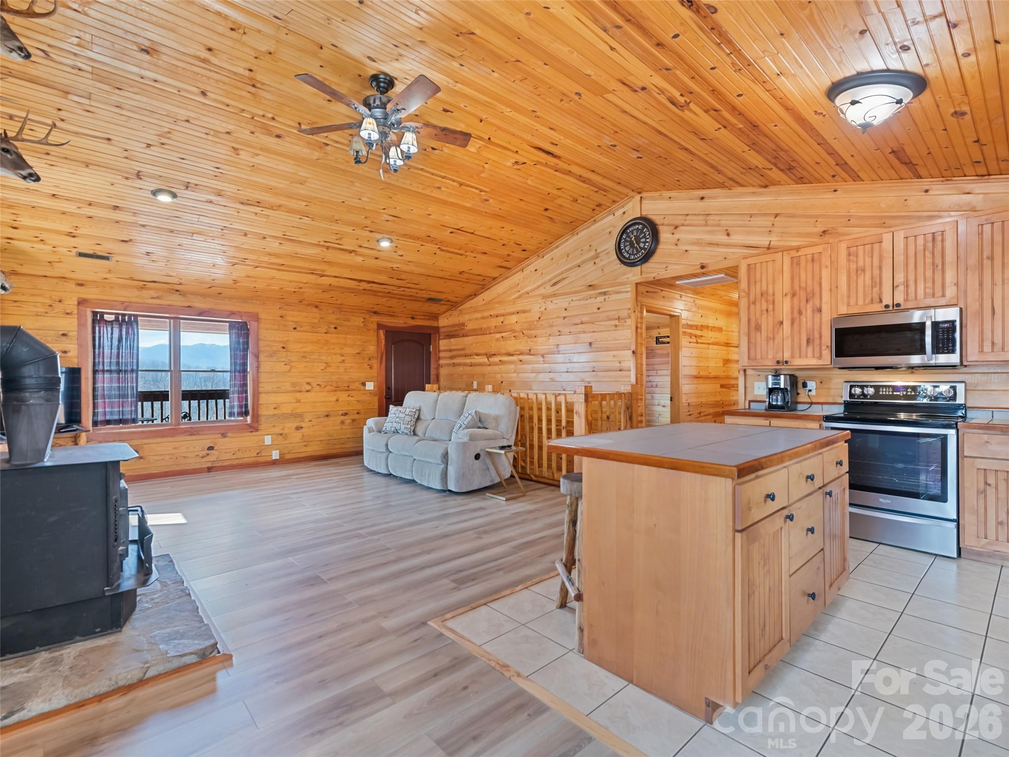 425 Rustic Ridge Drive Canton, NC 28716 - Photo 23 of 39