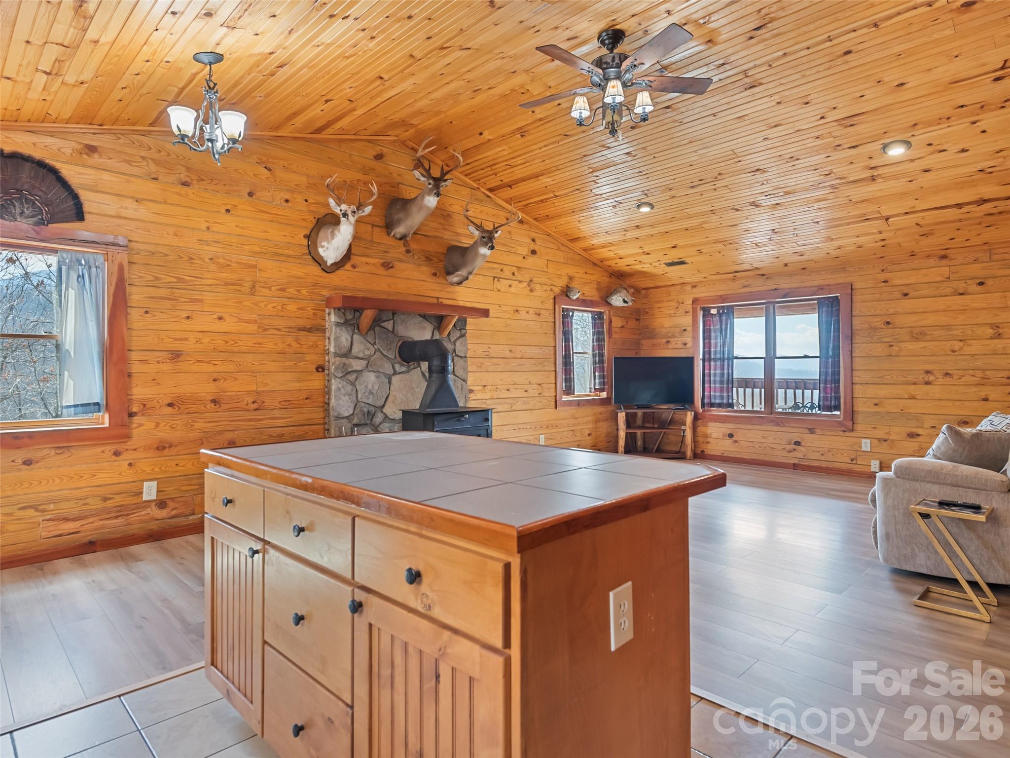 425 Rustic Ridge Drive Canton, NC 28716 - Photo 25 of 39