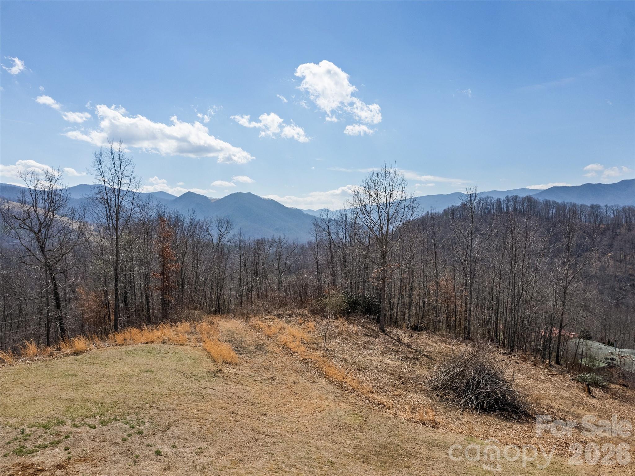 425 Rustic Ridge Drive Canton, NC 28716 - Photo 8 of 39
