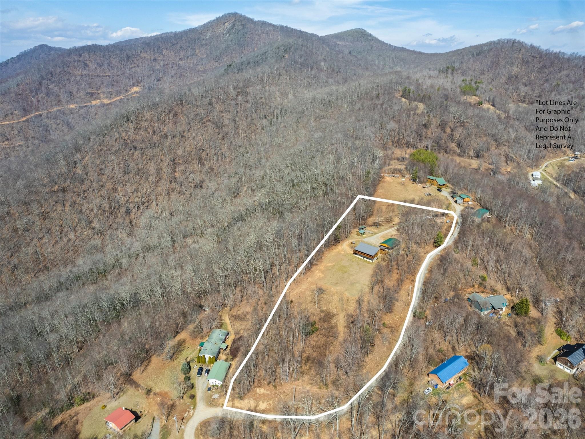 425 Rustic Ridge Drive Canton, NC 28716 - Photo 9 of 39