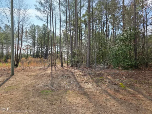 a view of outdoor space with trees