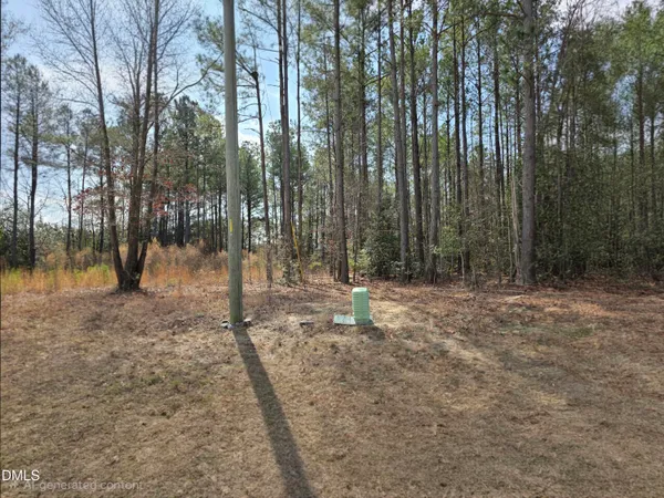 a view of a forest with trees