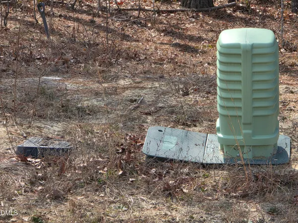 a view of a plants in the middle