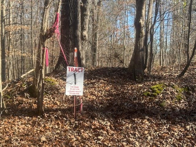 1 George Walter Road Bolivar, TN 38008 - Photo 11 of 14 a backyard of a house with lots of green space