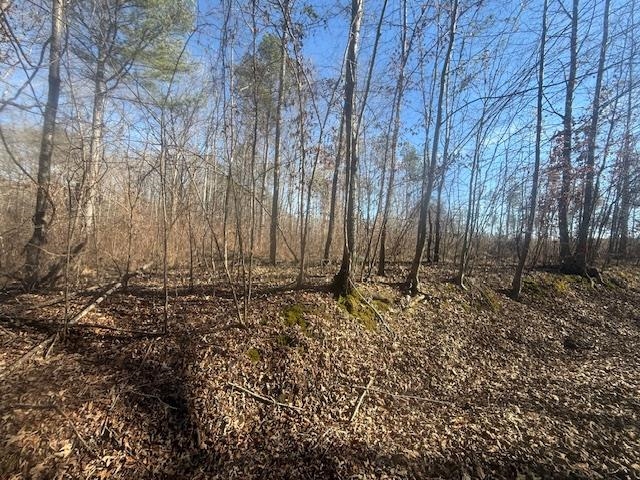 1 George Walter Road Bolivar, TN 38008 - Photo 11 of 14 a view of a backyard