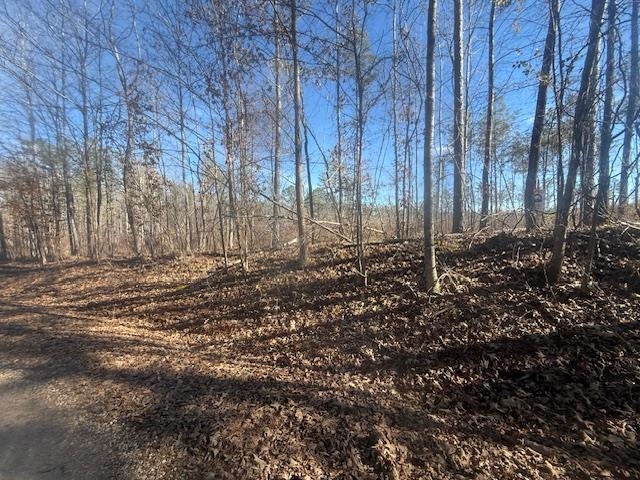 1 George Walter Road Bolivar, TN 38008 - Photo 13 of 14 a view of a backyard of the house