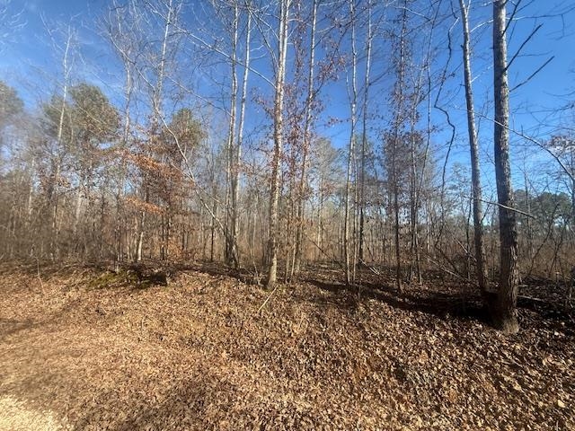 1 George Walter Road Bolivar, TN 38008 - Photo 7 of 14 a view of a yard with trees